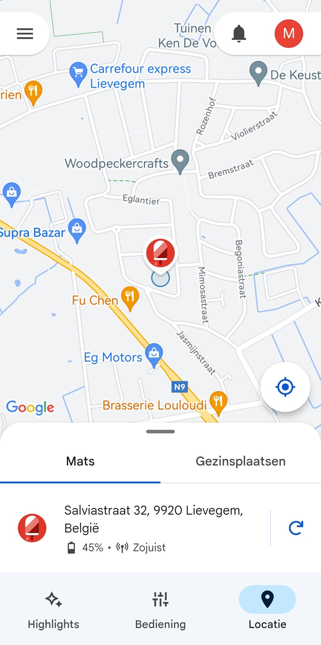 google family link lokalisatie